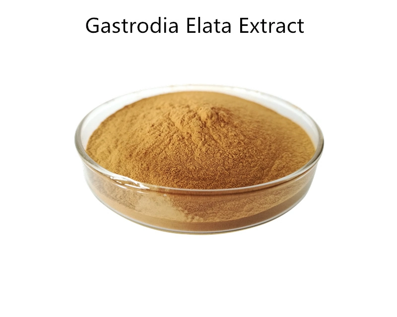 Pure Natural Quality Gastrodia Elata Extract Powder