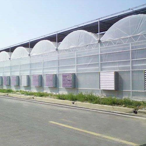 Curtain/Transmission/Distribution System Single Farm Facilities Equipment Flower House