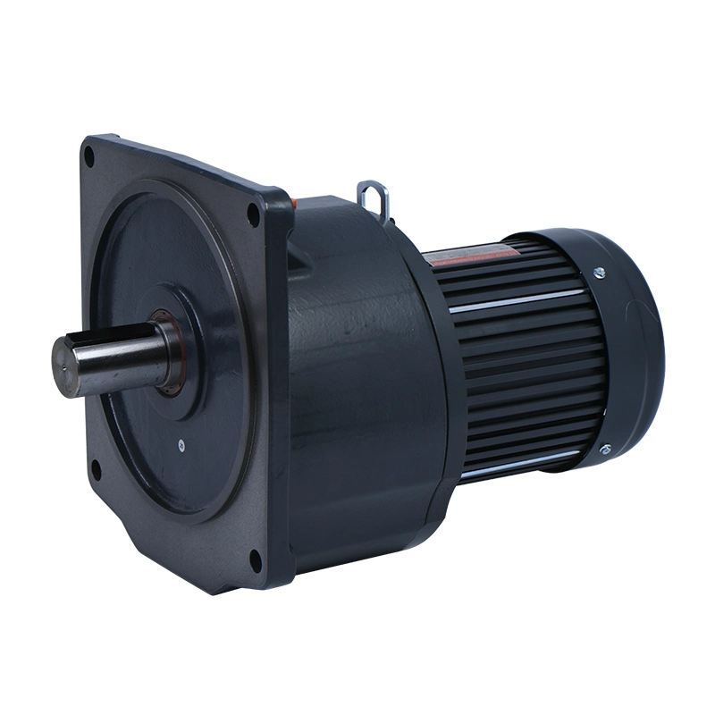 Vertical Type Medium Gear Reducer Motor for Automatic Feeding System Poultry Farms