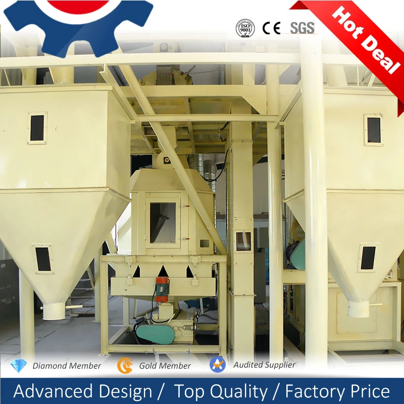 Energy Saving Ring Die Grain Dairy Cow Feed Processing Machinery for Dubai