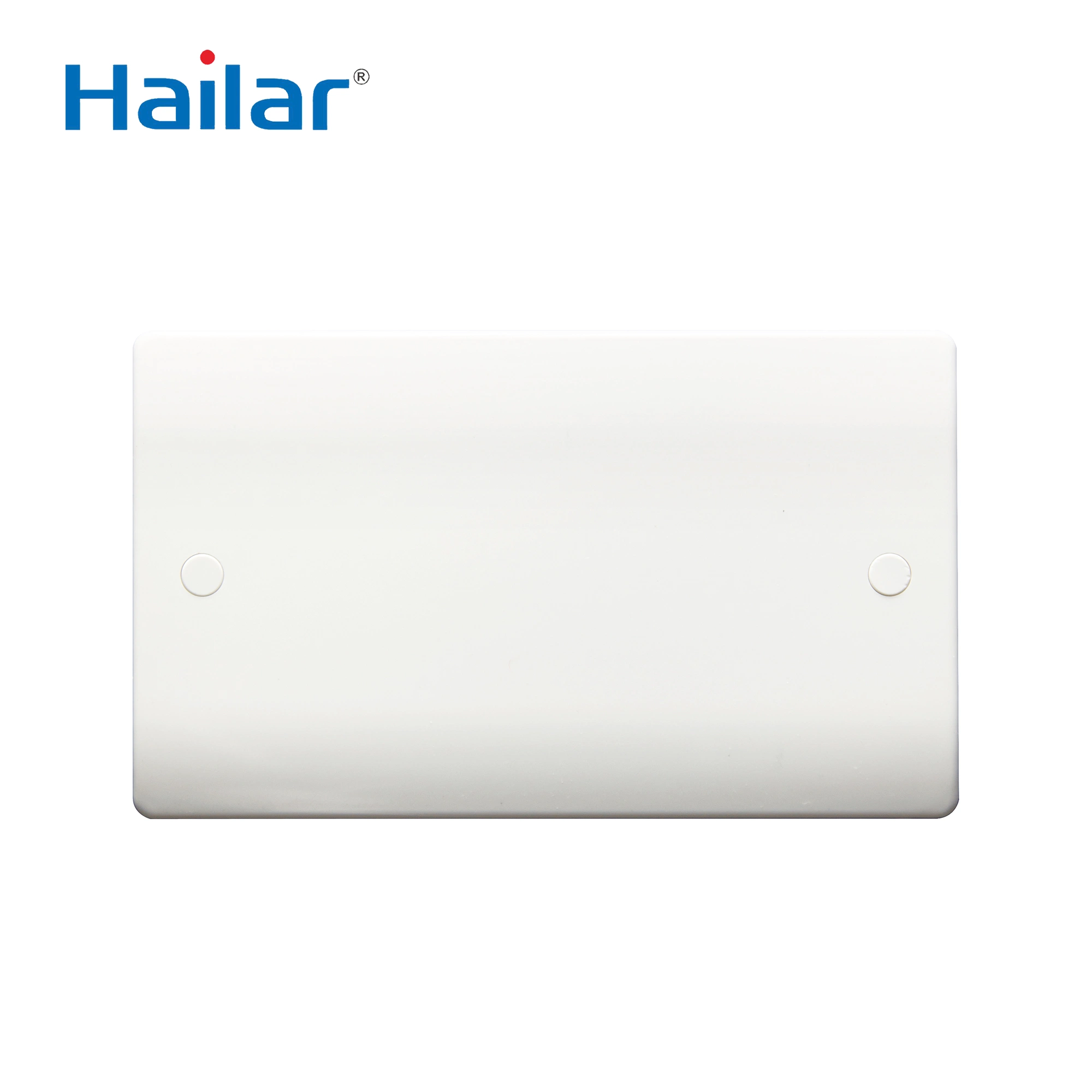 2 Gang Electrical Blank Wall Plate