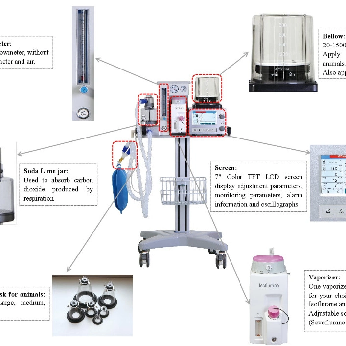 Used Veterinary Anesthesia Instruments Dm 6b