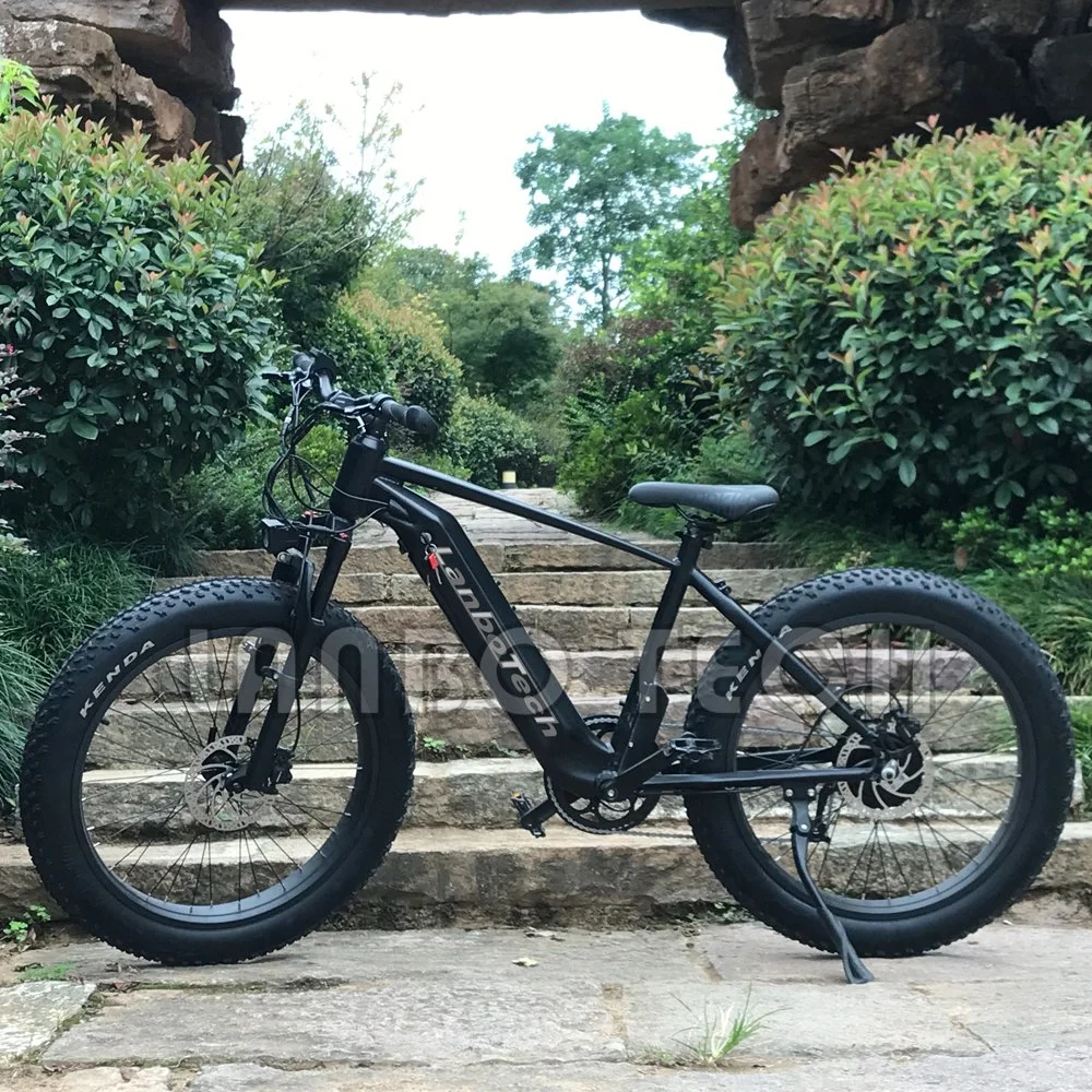 750W 52V Fat Tire Mountain Electric Bike Ebike 5% Discount