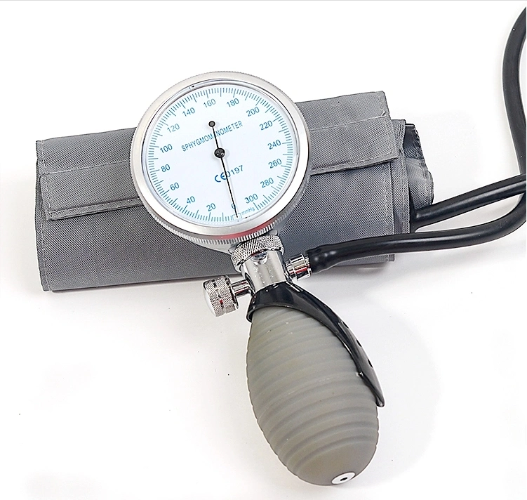 Professional Manufacturer Palm Type Aneroid Sphygmomanometer (SW-AS18)