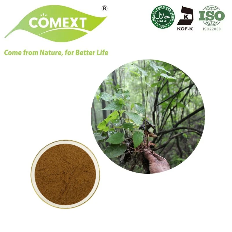 Comext bon prix Epimedium pour la vente de 25 % l'icariine Epimedium extrait de feuille de poudre