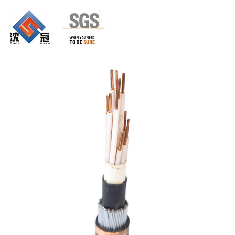 Shenguan 0.6/1kv Testing Computer Instrumentation Cable Single Core Wire AC Power Cord Cable 220V 3.6/6kv 185mm2 Electric Underground Sta Power Cab