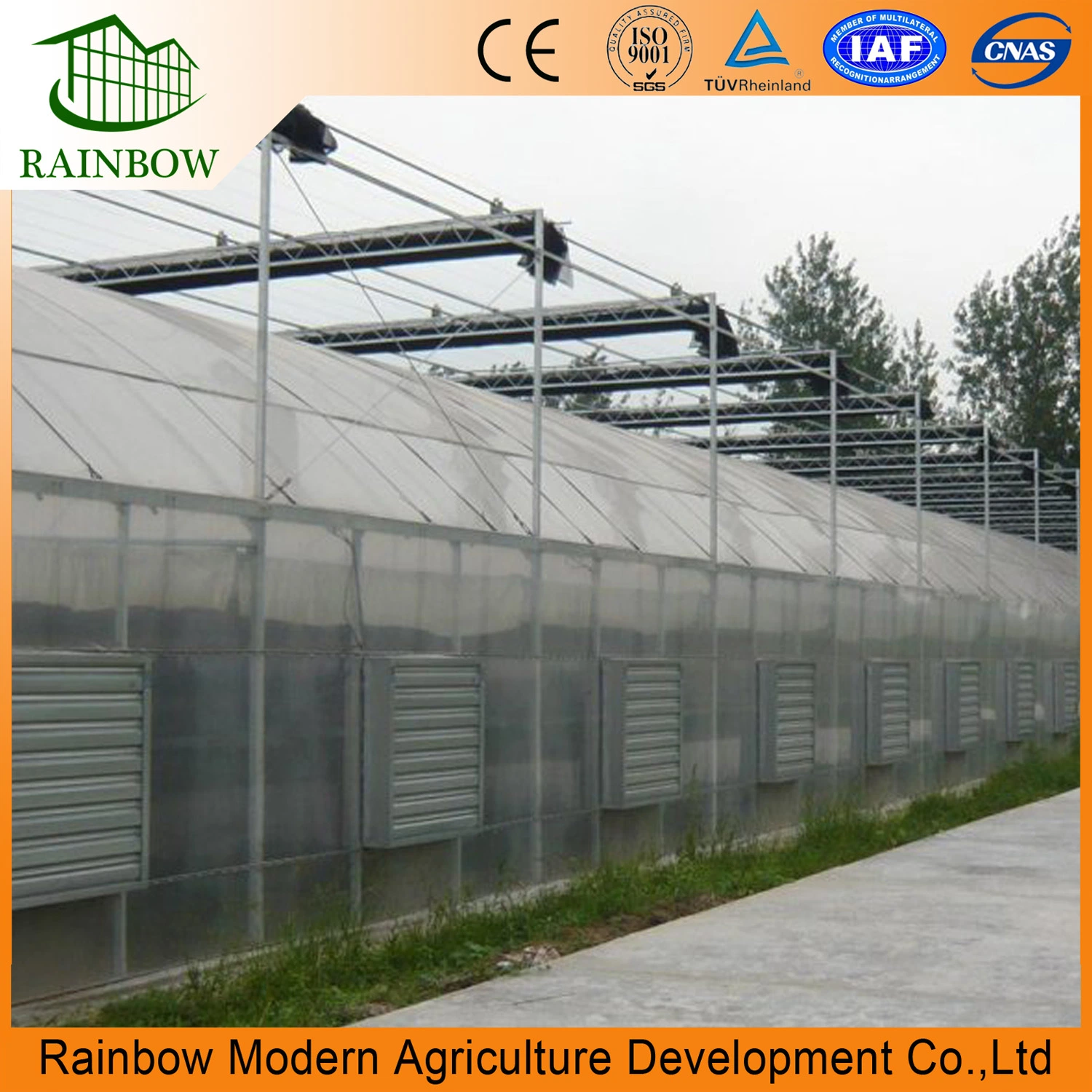 Multi Span Cheap Flowers UV Protected Plastic Film Greenhouse