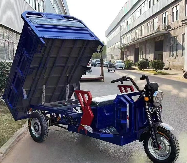 Lb 1500W Cargo Tricycle with Theer Wheel Trike for Electric Motorcycle