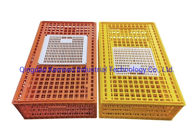 Wholesale/Supplier Poultry Adult Chicken/Duck/Goose Plastic Transport Cage Turnover Box