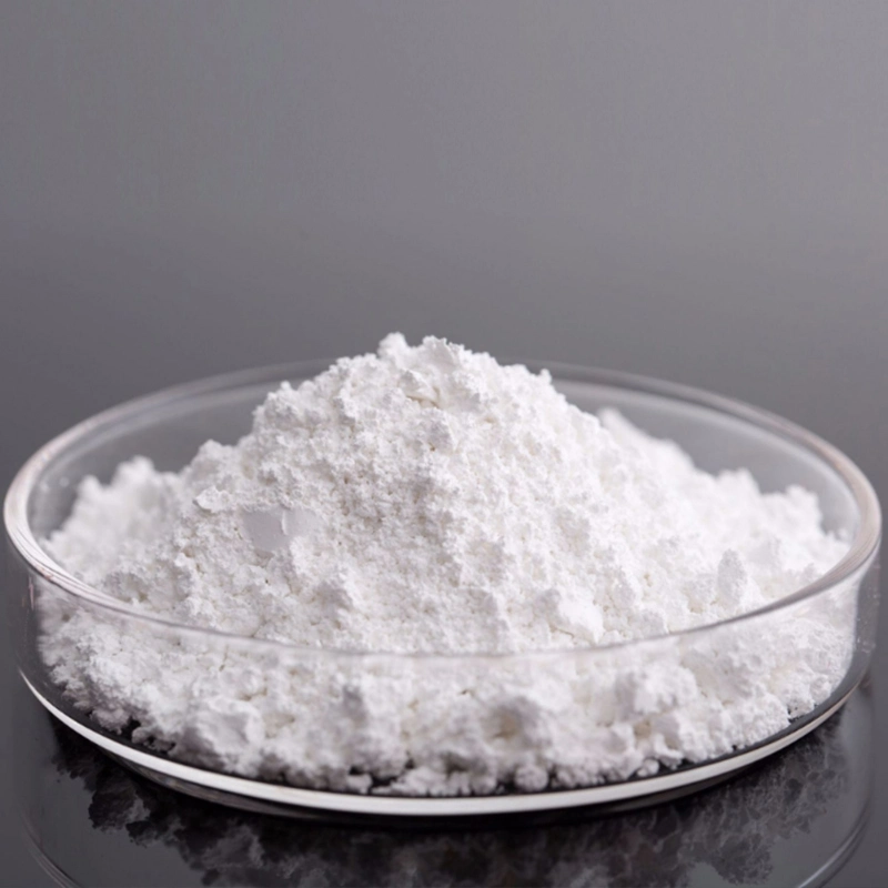 High Purity Titanium Dioxide Raw Material TiO2 Powder for Coating