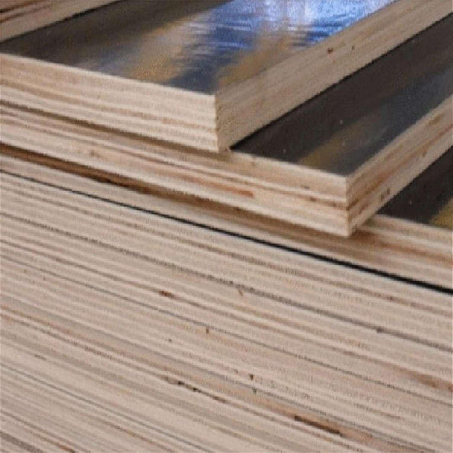 18mm Black Poplar Core Film Faced Construction Plywood / Finger-Jointed Core Shuttering Plywood