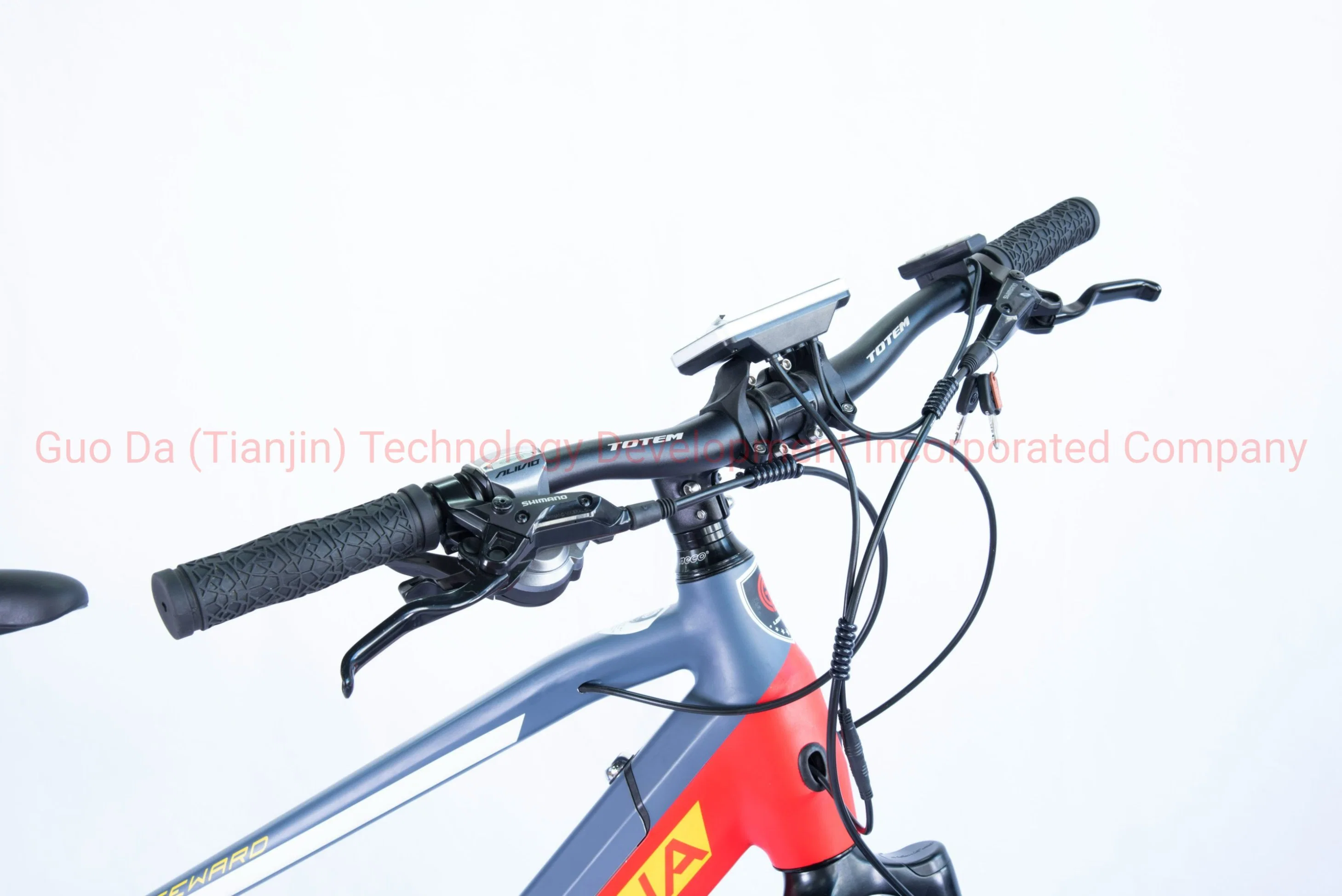 Electric Mountain Bicycle MTB Bike of CE Certification
