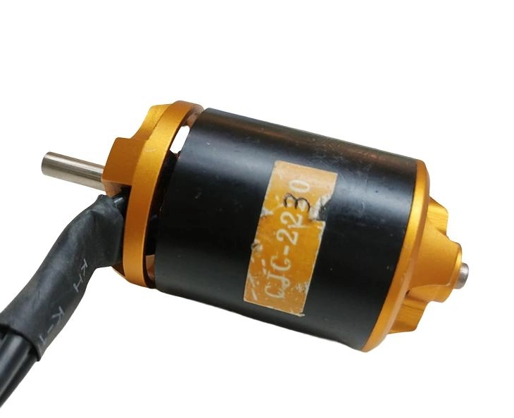 DC Electrical Motor Brushless High Torque Low Speed