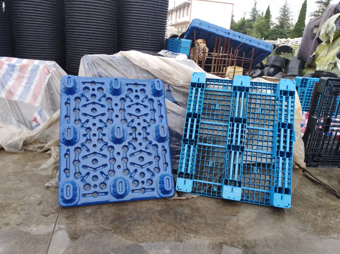 Plastic Pallet Extrusion HDPE Blow Moulding Machine