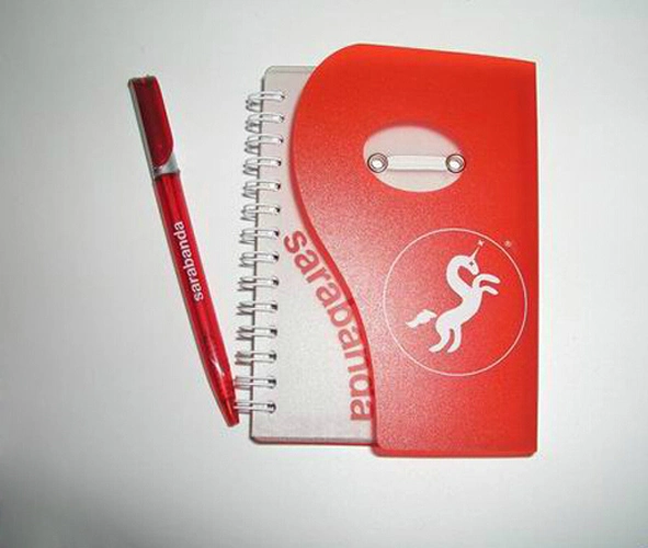 OEM Design Fancy Memo Notepads