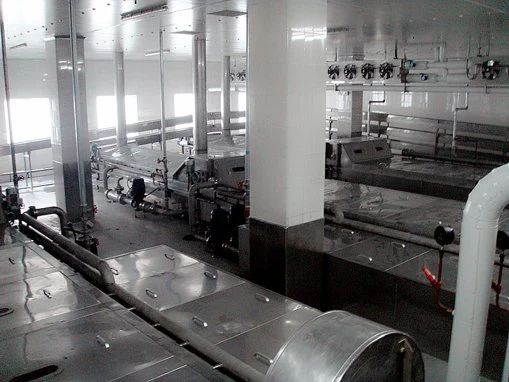 Tunnel Type Continuous Water Soaking Pasteurizer Food and Vegetables Secondary Sterilizer