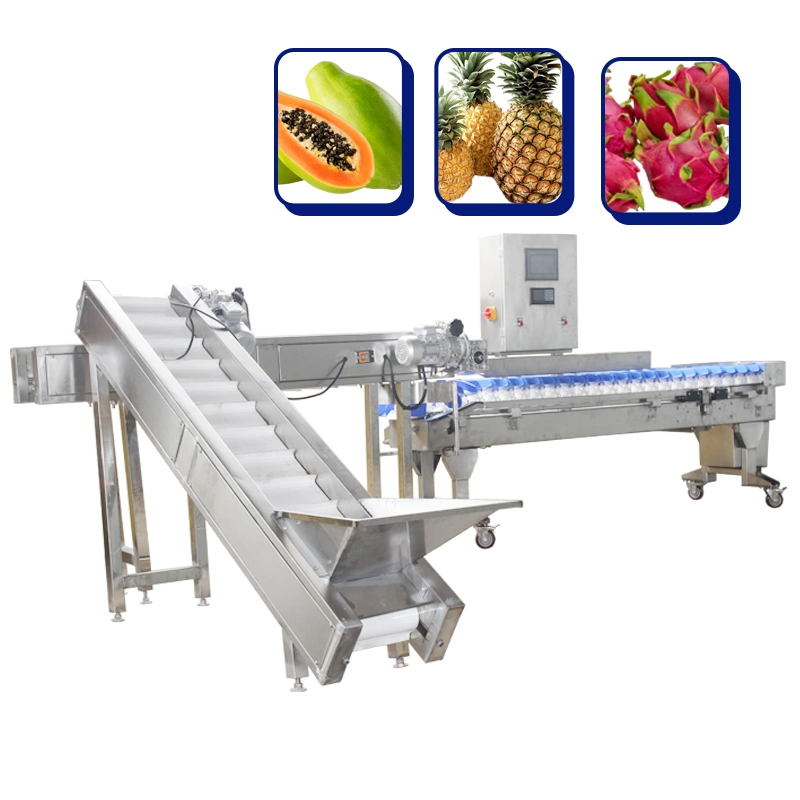 Automatic Weight Sorting Machine Fruit Weight Sorting Machine