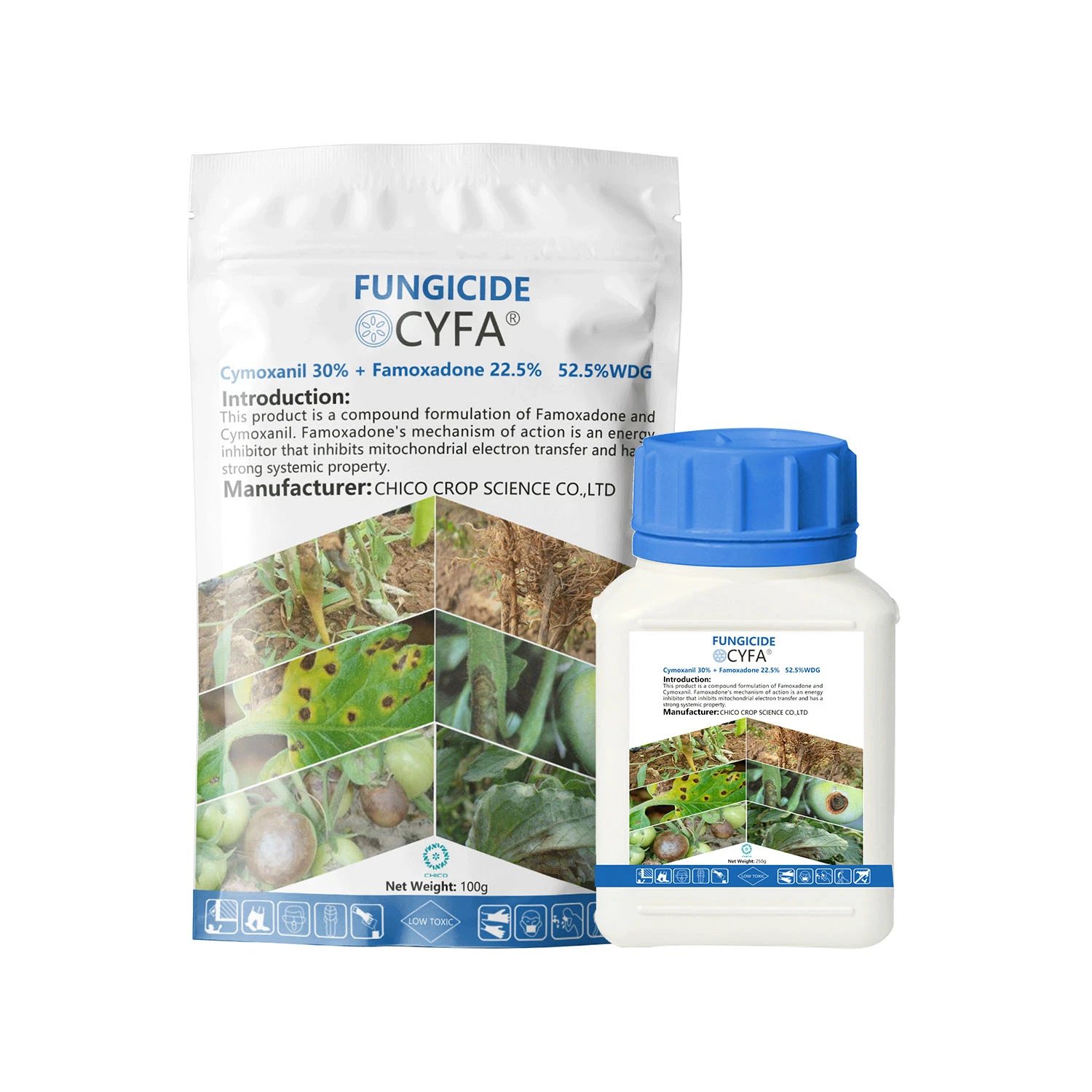 Cymoxanil 30% + Famoxadone 22.5% 52.5% Wdg Protection and Treatment Fungicide