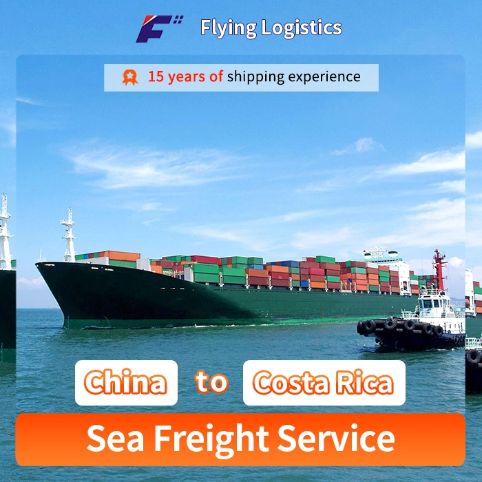 Cheapest Ocean Freight Forwarder From China to Costa Rica to Global Logistics Service