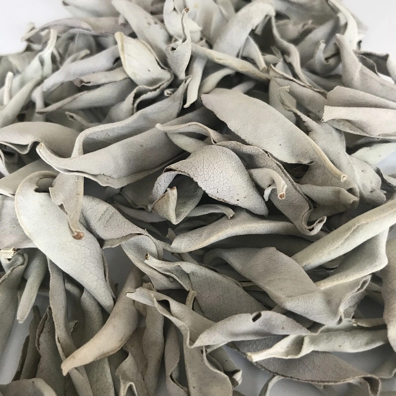 Shu Wei Cao Bulk Natural Products 100g Per Bag Dried White Sage Leaves for Incense