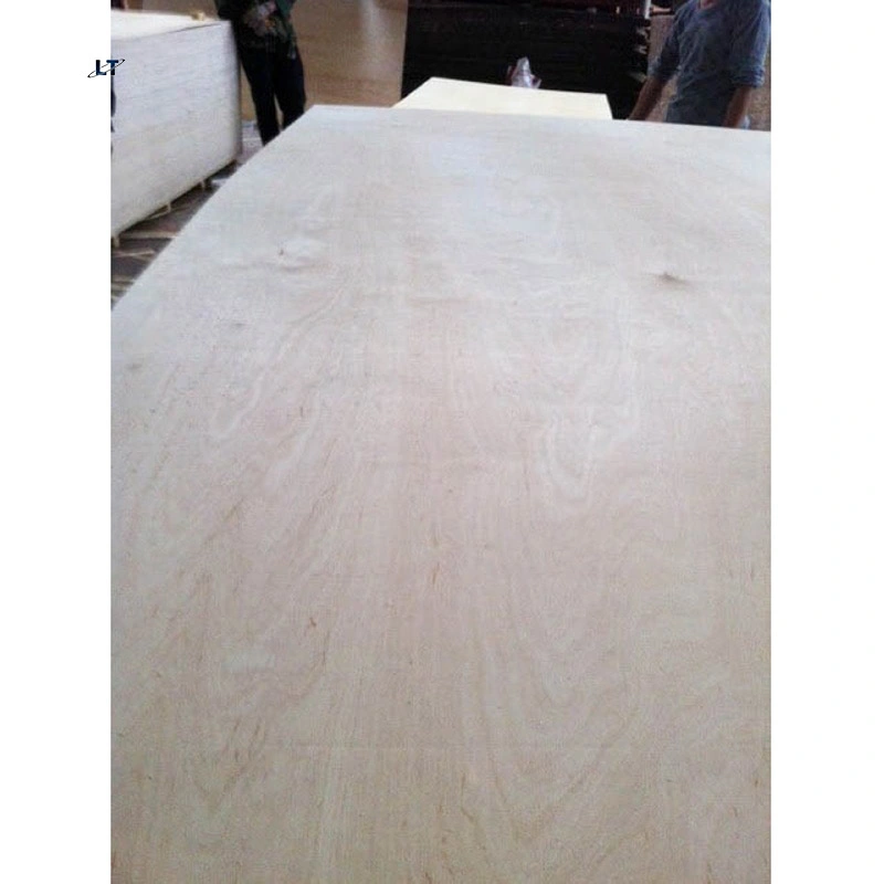 Linyi Baltic Birch Plywood 3/4 Contreplaqué Phénolique produits pour Meubles jeu Bois Marine Board