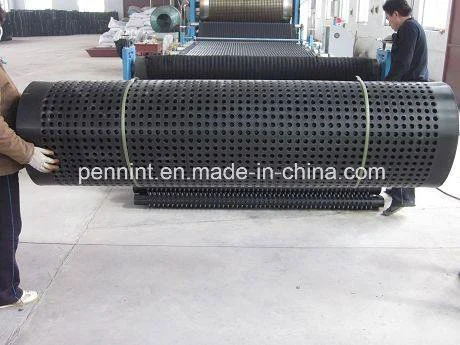 Dimpled Plastic Drainage Board Earthwork PVC Draining Sheet