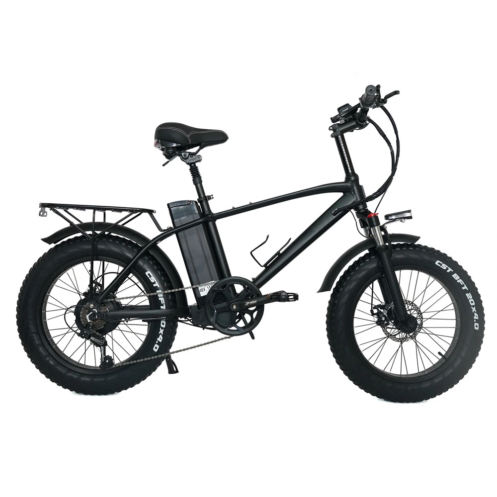 T20 دراجة كهربائية دراجة نارية الدهون مع موتوتور دراجة كهربائية