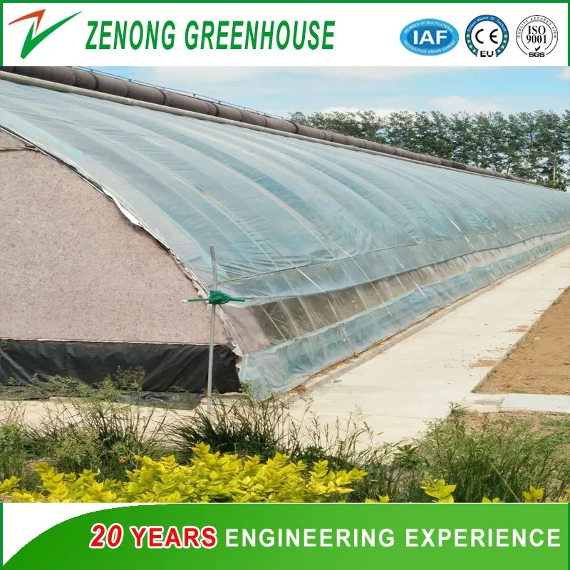 Anti-Season Vegetable Greenhouse for Tomato/Watermelon/Strawberry/Cherry/Mushroom