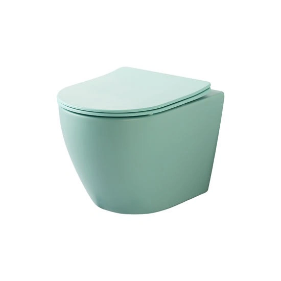 Sanitaire en céramique WC suspendu avec chasse d'eau double personnalisable en couleur.