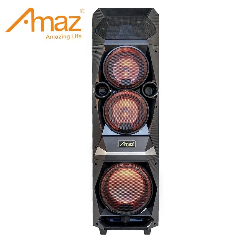 Double 6+8 Inch Speaker with Professional Audio System