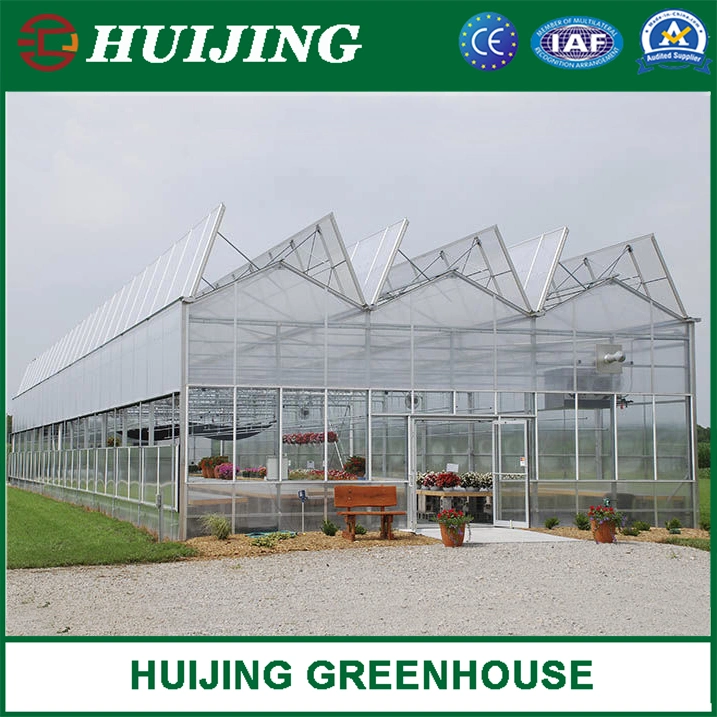 Agricultural Hollow Polycarbonate /PC Sheet Multi-Span Greenhouse for Vegetables/Garden/Hydroponics/Flower