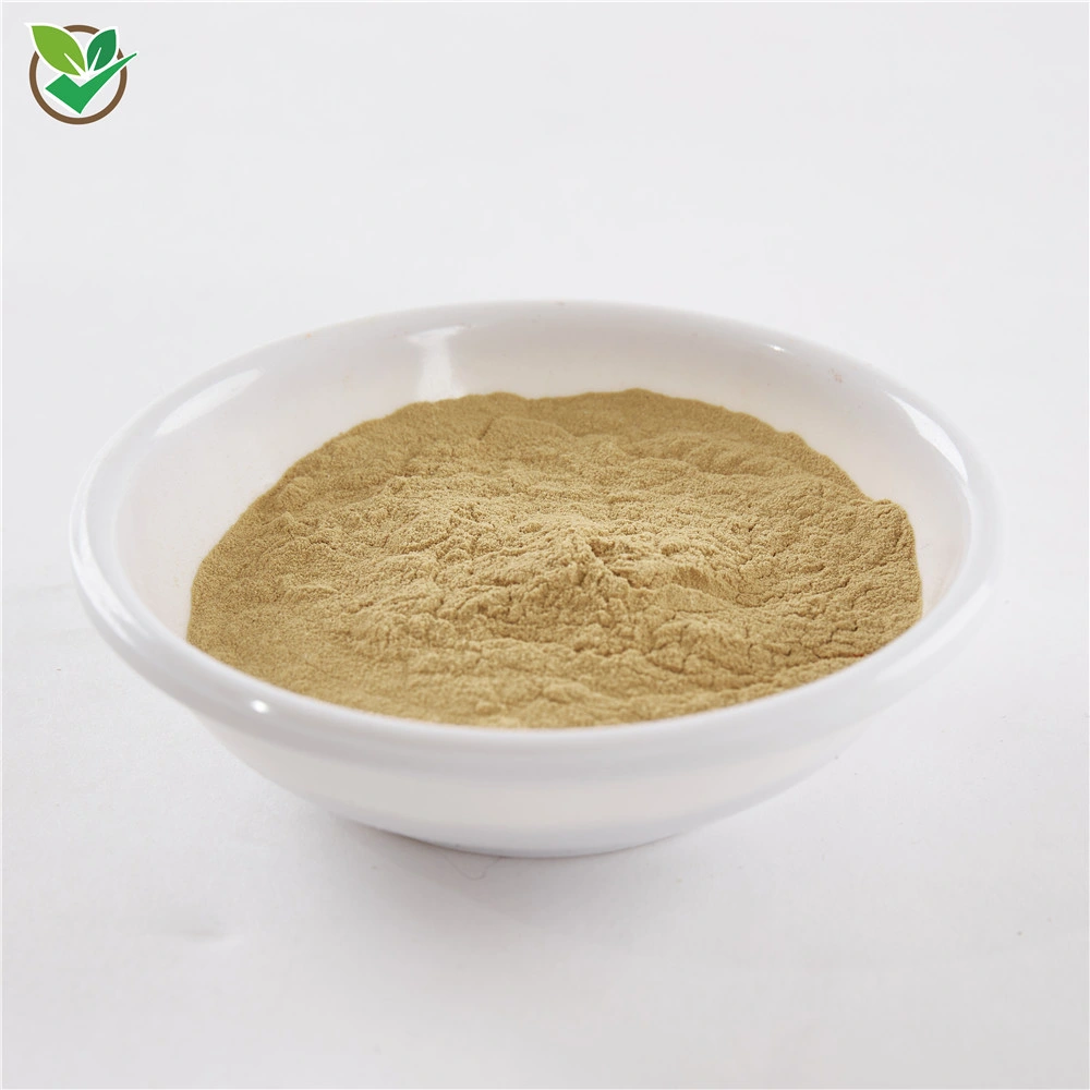 أصفر Maca root Extract Powder Pharmaceutical Supply Yellow Maca Root استخراج مسحوق