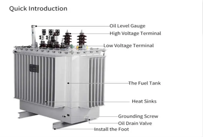 Outdoors Electric Oil Immersed Power Transformer Customizable Distribution Transformer 315kVA Standardisation