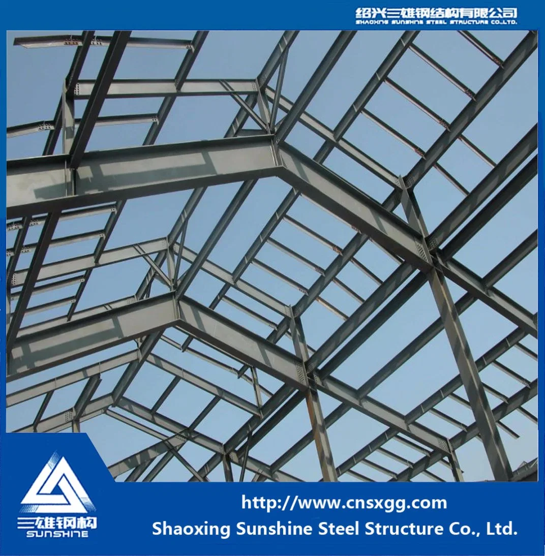Fácil instalación de la luz del techo de la estructura de acero prefabricados para almacén
