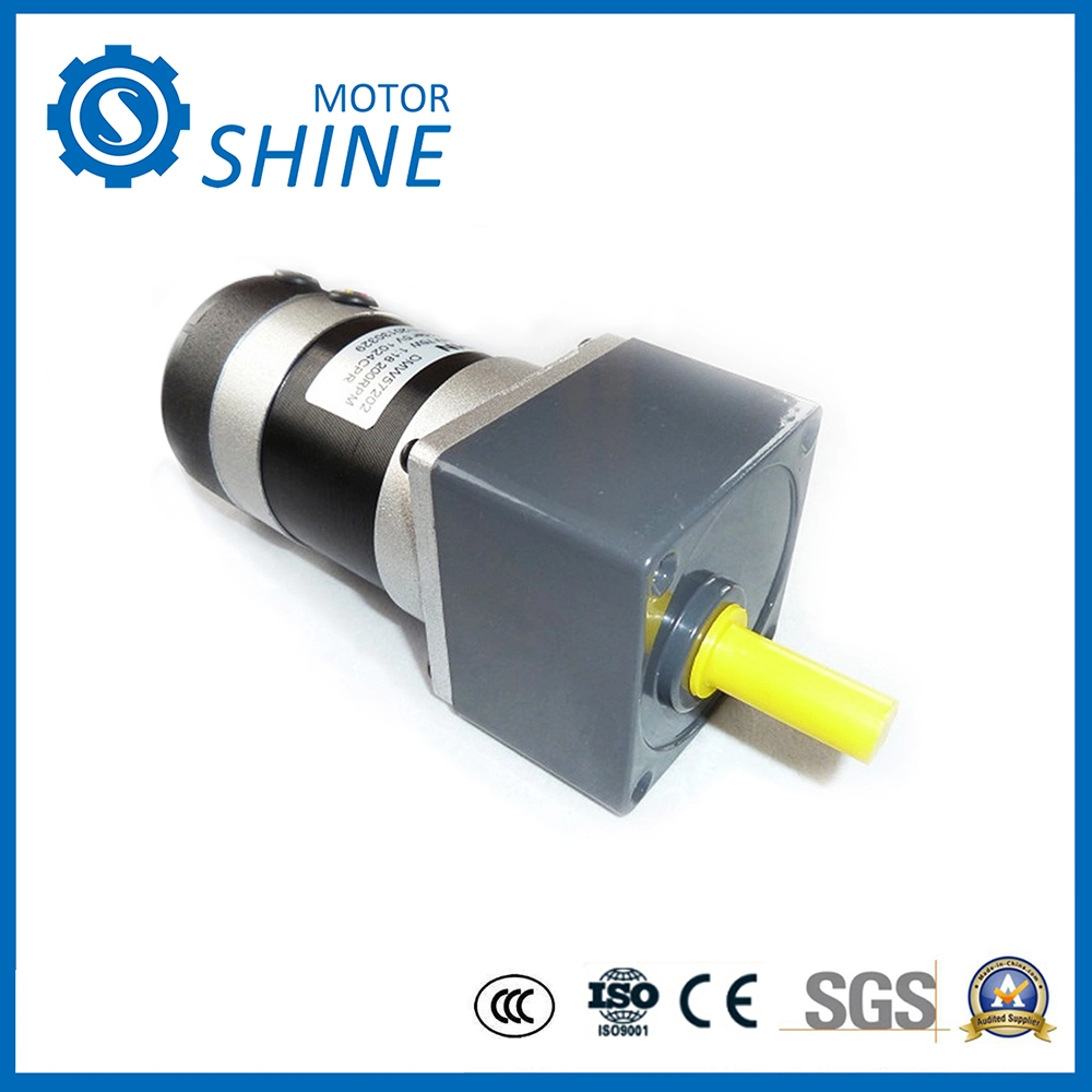 Axis 12V24V Positive and Negative Rotation Low Noise Adjustable Speed Small Motor