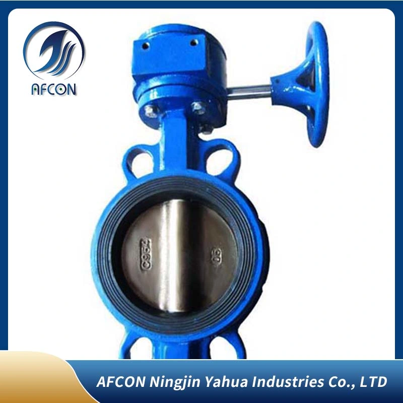 Cast Iron Marine Express Handle Manual Wafer Type Center Butterfly Valve Bronze Lever