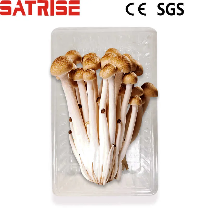 Customizable Plastic Packing Tray for Fresh Mushroom