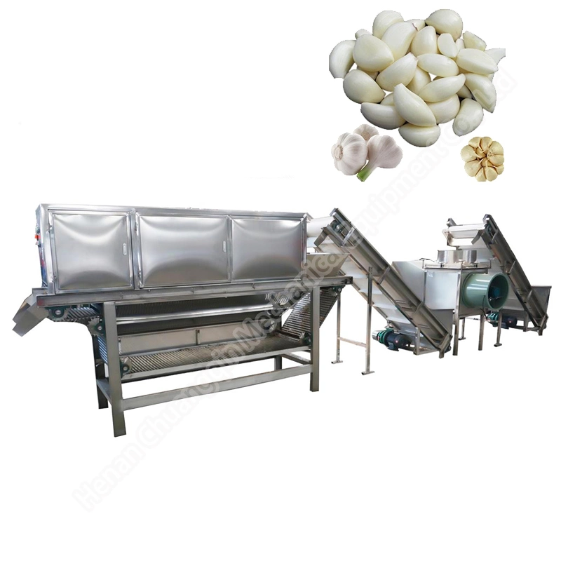 Garlic Peeling Machine Industrial Garlic Peeling Machine Automatic China Garlic Processing Production Line Garlic Peeled Garlic Price