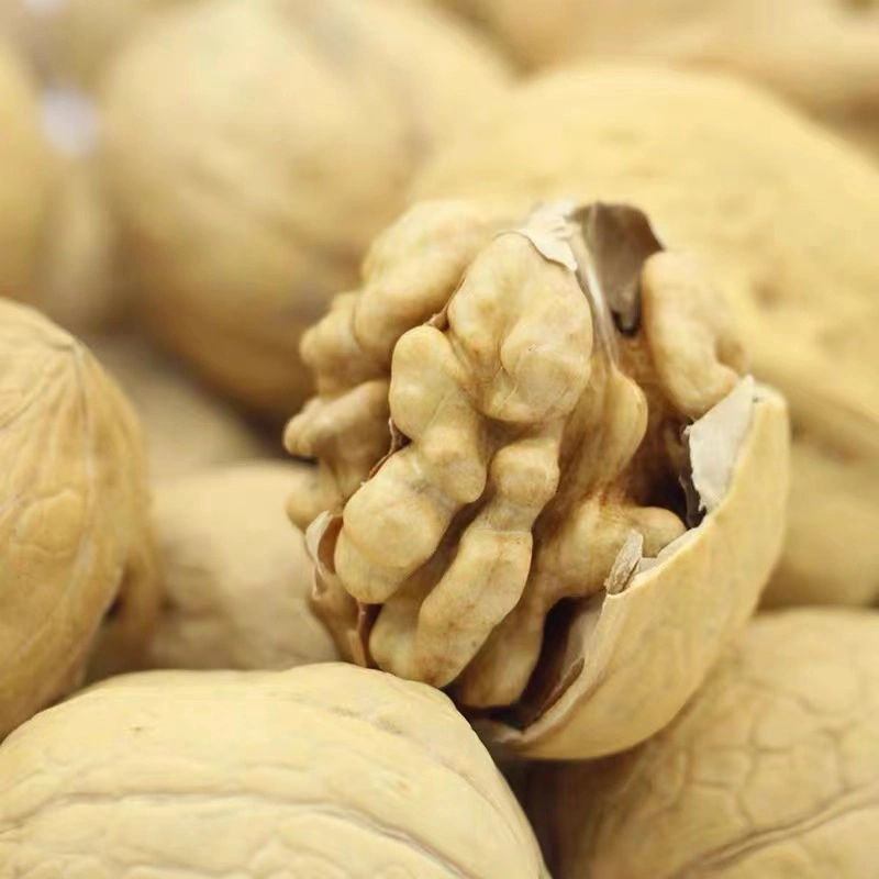 سعر الجملة الرخيصة عالية الجودة walnuts Chandler Inshel walnuts