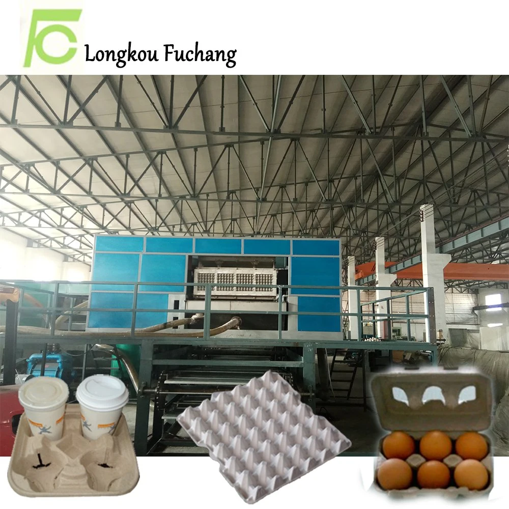 Paper Egg Tray Making Machinery Manufacture