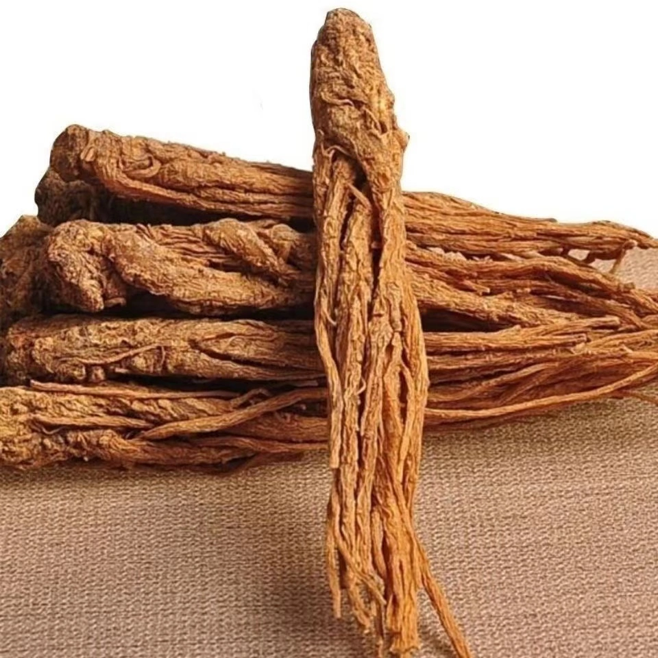 Danggui Angelica Chinese Supplier Gansu Local Traditional Tonic Chinese Herb Natural