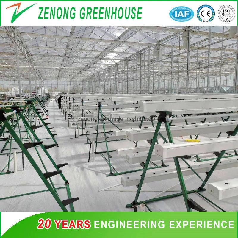 Easy Installation and Transportation Vertical a-Style Frame with PP/PVC Channels for Greenhouse Hydroponice