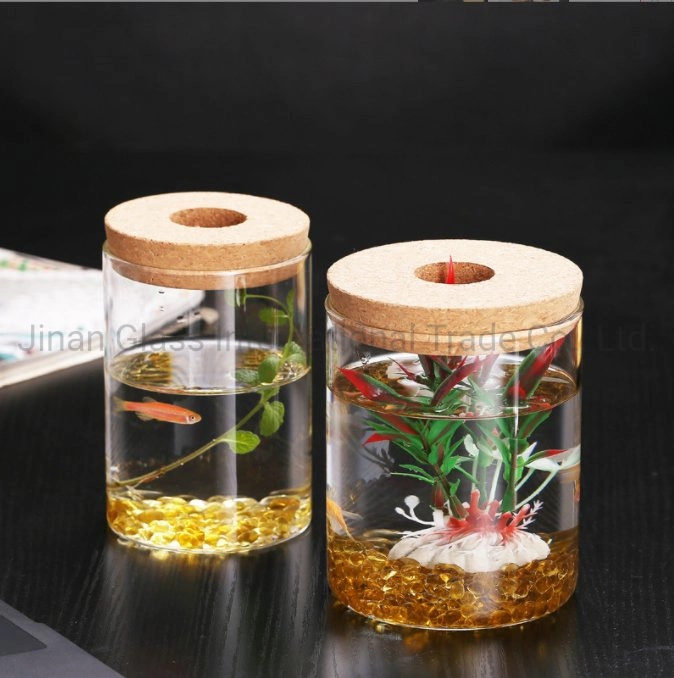 Verre transparent de culture hydroponique de bouteille en verre de Plantes hydroponique Flowerpot Micro bouteille écologique du paysage Fish Tank