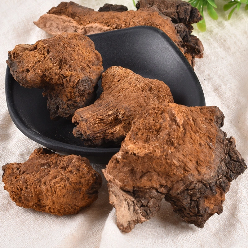 Bai Hua Rong Chinese Medicine Herb Wild Yellow Russian Chaga Mushroom Chaga Chunks