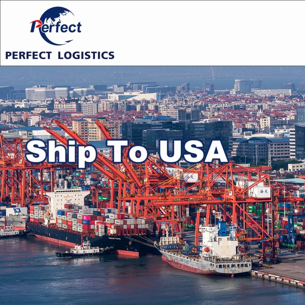 Logistics Agent Ship FCL and LCL Cargo with Cheapest Price Customs and Tax Included to USA/Malaysia/Germany/Saudi Arabia/England