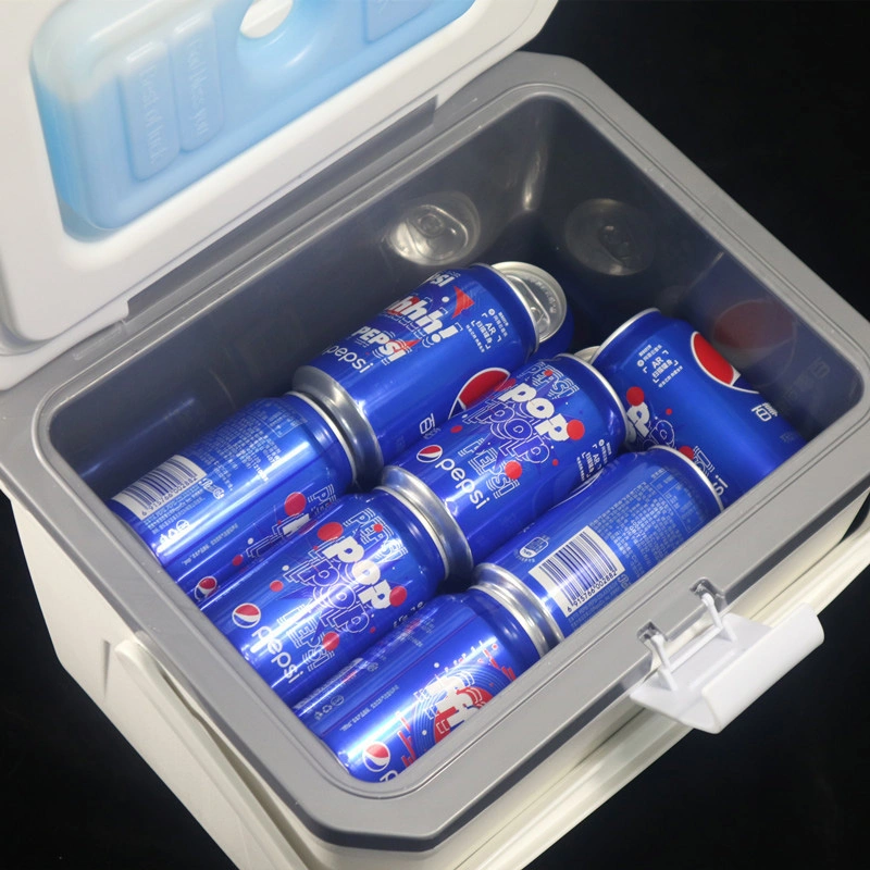 15 L Incubator Freezer Portable Vehicle-Mounted Vaccine Blood Transport Box Portable Food Delivery Cooler Box