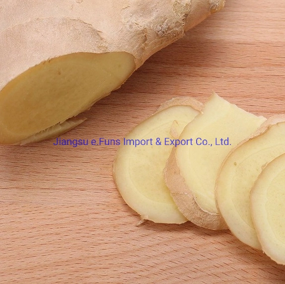 Chinese Selected Organic Yellow Air Dry Ginger 160g up on 220g