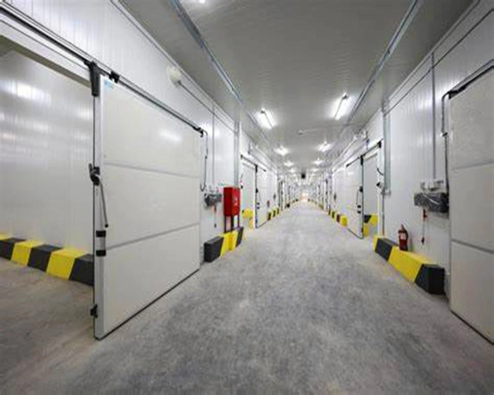 China Prefabricated Warehouse Cold Storage for Food Logistics