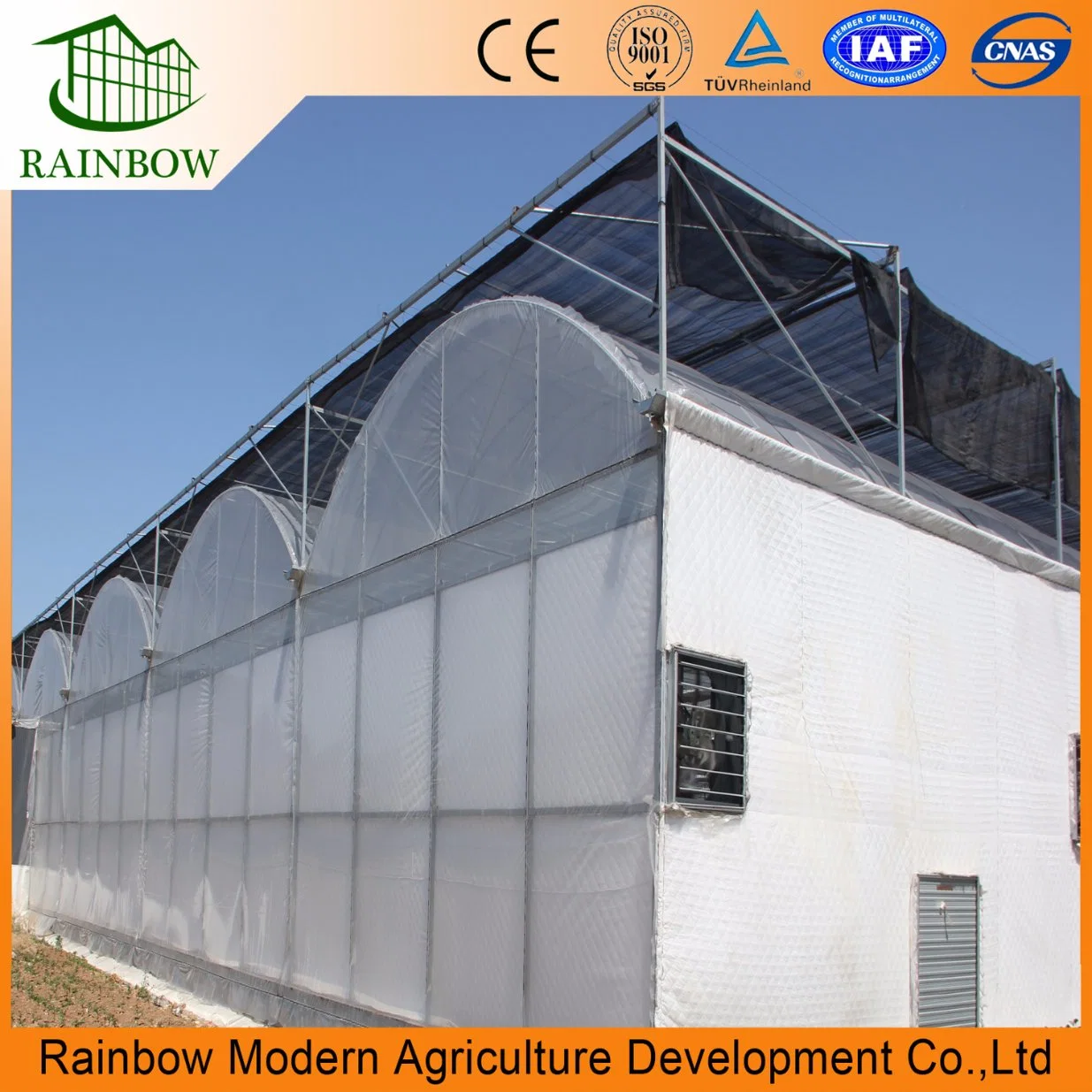 Multi-Span Film Tomato Hydroponics Greenhouse