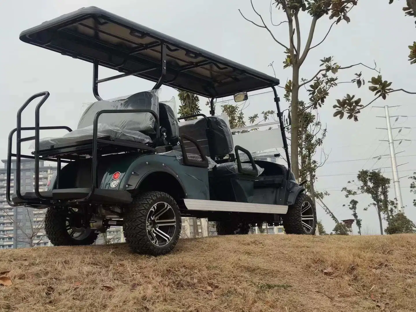 6 Caliente el asiento eléctrico levantó la caza carro de golf buggy en venta